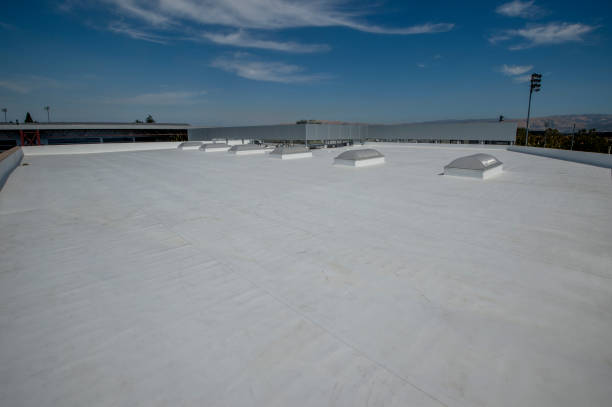 Best Cold Roofs  in Country Walk, FL