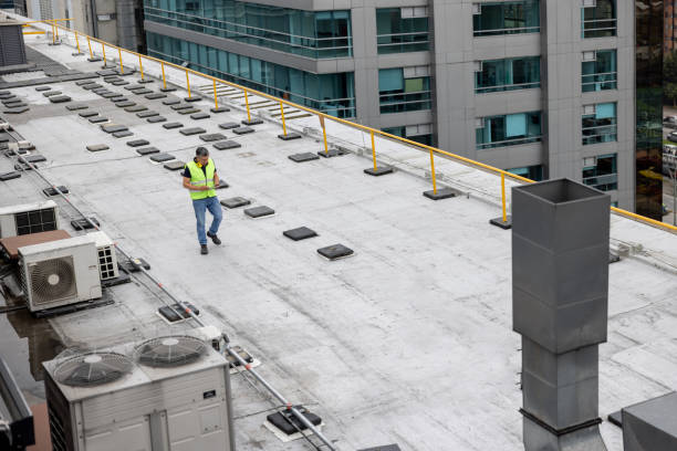 Best Storm Damage Roof Repair  in Country Walk, FL