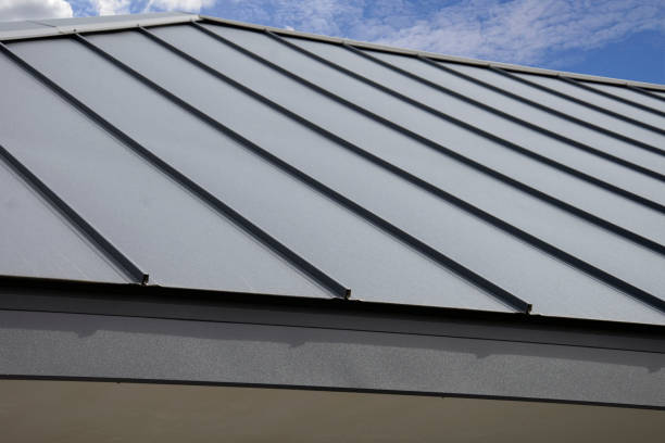 Best Asphalt Shingle Roofing  in Country Walk, FL