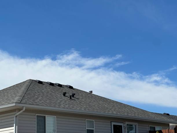 Reliable Country Walk, FL Roofing Service Solutions